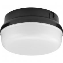 Progress P550114-031-30 - P550114-031-30 1-25W OUTDOOR FLUSH MOUNT