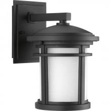 Progress P6084-31 - P6084-31 1-75W MED WALL LANTERN