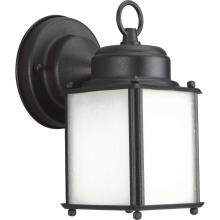 Progress P5986-31MD - P5986-31MD 1-100W MED WALL LANTERN